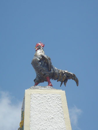 France Guyane (50)