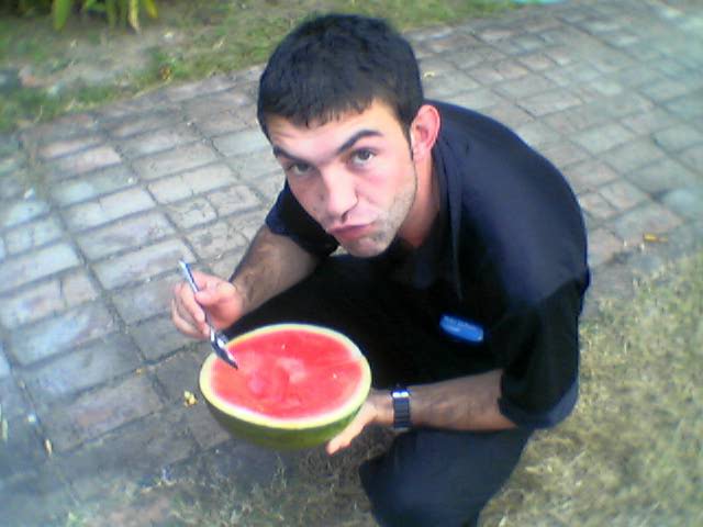 Black Cat with watermelon